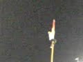 Hamilton Tiger Cat fan climbs flag pole