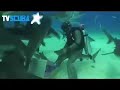 Extreme Shark Frenzy!