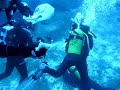Buceo Mallorca - El pecio de los congrios - Dragonera