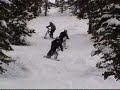 Skibike Motocross Ski-MX