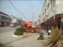 Chinese Countryside Mystery