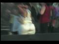videos de T-PAIN FEAT. SINCERE