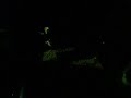 Accidente III Tandas Nocturnas Albacete