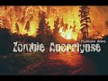 Zombie Apocalypse Psychosis Rising