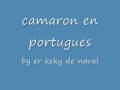 camaron en portugues.wmv