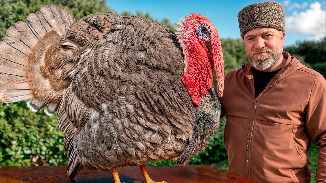 A Smoked Giant Turkey Deep Inside A Village Stone Oven