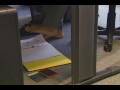 Gato Fedorento - Aumento de Produtividade Gato Fedorento - Aumento de Produtividade