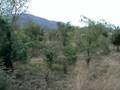 Mbeya to Dar es Salaam