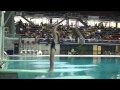Ringwood Diving Club - Nationals 2010 View Video