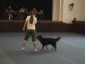 Dogdancing Chot?bo? - Arlin prvn? na závodech Dogdancing Chot?bo? - Arlin prvn? na závodech