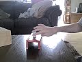 sponsor me fingerboarding sponsor me fingerboarding
