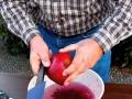Pomegranate Aril Removal Tool (ART) Demonstration