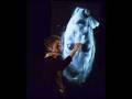 videos de Dr Miller