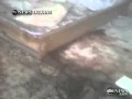 Osama ben Laden lichidat. Cum arata camera in care a fost ucis