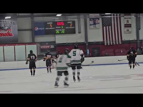 USPHL South Shore Kings Elite - Goal - February 2025