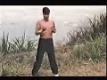 Kyokushin Karate vs Wing Chun