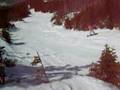Sharney Boarding Sugarloaf