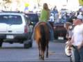 BKE CeeCee Way - super quiet, gentle mare with a lot of handle. FUN TO RIDE!!!