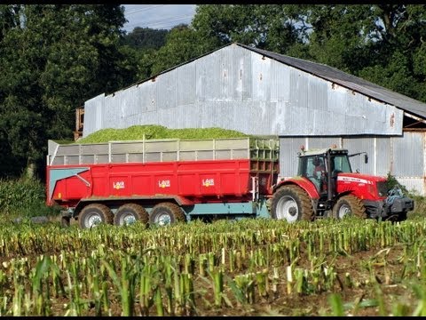 ensilage - Ensilage de maïs 2012 avec MASSEY FERGUSON : 6280 / 6495 / 6497 / 7499 CLAAS JAGUAR 950; CARGOS 9500. BIG LAIR.