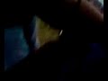 stunt 110 chartres lucé 28000 28110