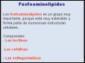 videos de CHEMIST OF NATURAL PRODUCTS parte 2 Davinson Javier Riquett Robles