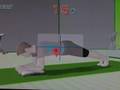 WiiFit musculación