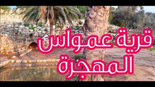 جولة في قرية عمواس المهجرة (نيكابوليس) - قضاء الرملة Imwas or Emmaus (Nicopolis ) جولة في قرية عمواس المهجرة (نيكابوليس) - قضاء الرملة Imwas or Emmaus (Nicopolis )