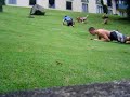 Rolando no med =D Rolando no med =D
