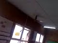 Descontrol sin Di Pardo...