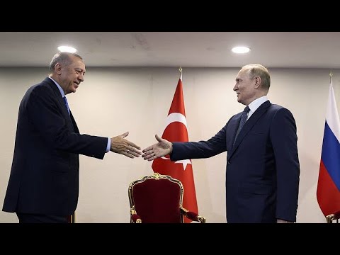 Iranisch-russisch-türkisches Spitzentreffen: Putin sieht Fortschritt bei der Getreidefrage