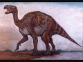 cretaceous period cretaceous period