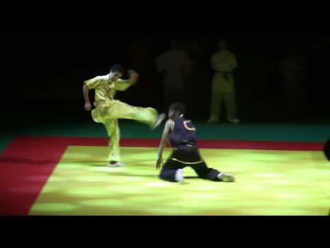 Démonstration kung fu Ecole Zhang xiao yan, 張小燕, dans le 14e Paris