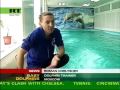 dolphin-parenting.html