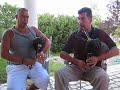duo de cornemuse jean pierre et dominique