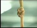 Must See !!! Best video EVER !!! 2008