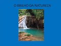 QUALIDADE DE VIDA.wmv