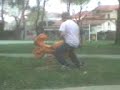 le cazzate di micky le cazzate di micky