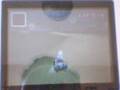 Luigi's Mansion Live 3lap 1:35:863