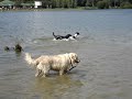 Emma the Waterbaby