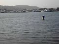 Golfinhos no Farol de Santa Marta - Laguna