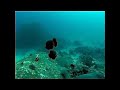 Scuba Diving in Similan Islands 1 Scuba Diving in Similan Islands 1