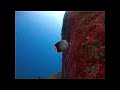 Scuba Diving in Similan Islands 1