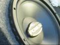 Power Jensen Subwoofer Dual amp Ay Chico