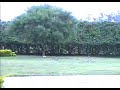 JetCar_Francisco.avi