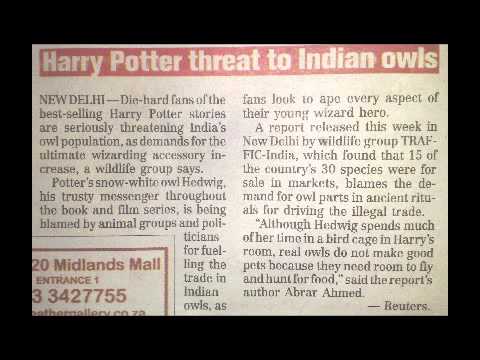 0 photo 0 Is Harry Potter Responsible for the Decline of Owls in India? picture