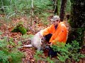 Devons Buck