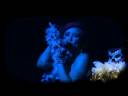 Adora Gals - No Regrets Adora Gals - No Regrets