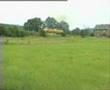 Ore train for Arbed in Honvelez - Juli 13, 1994