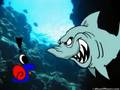 SHARK!!!(geb)