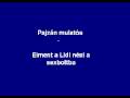Pajzán mulatós - Elment a Lidi néni a sexboltba